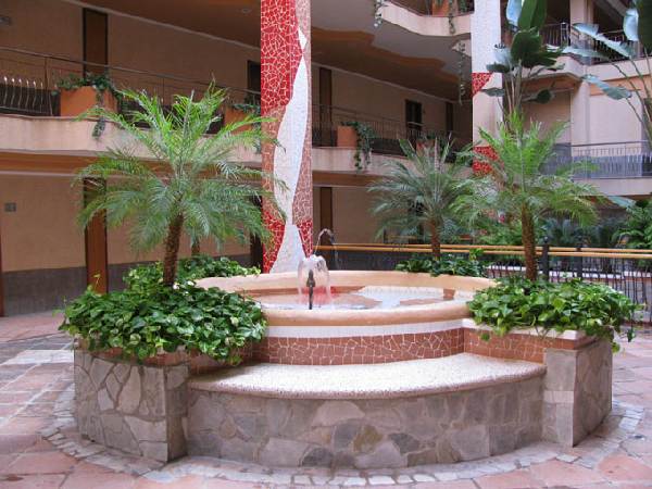 RIU Buena Vista RIU Buena Vista