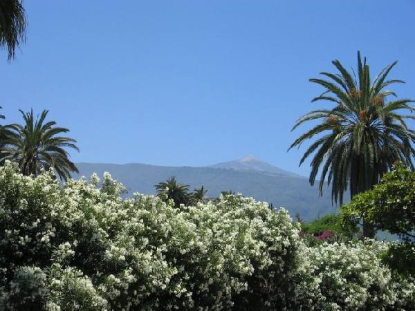 El Teide - Vulkangebiet / Teneriffa