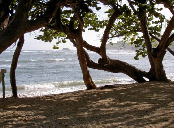 Riu Bachata am Strand