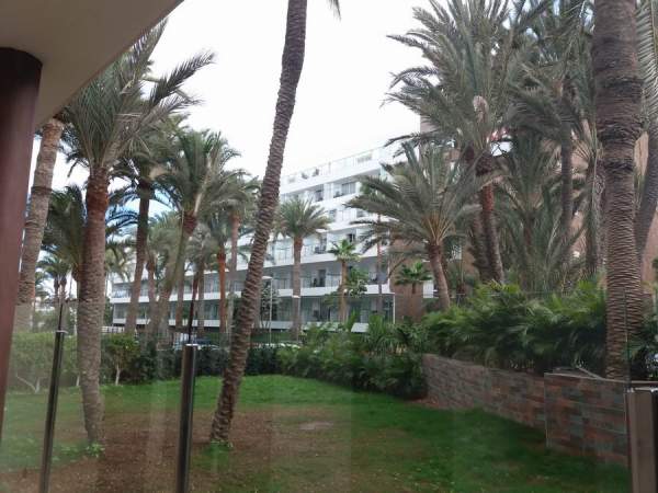 RIU Palace Oasis nach Umbau 10/18