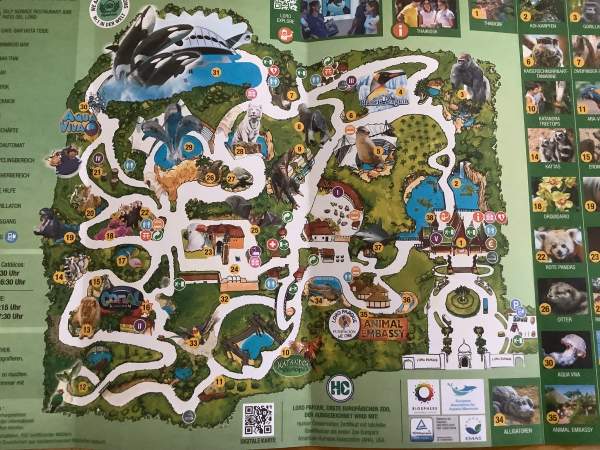 Loro Parque Teneriffa Juli 2024 Loro Parque Teneriffa Juli 2024
