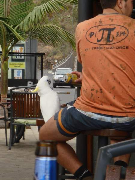 Restaurant Kiosco El Diablo, Tijarafe / La Palma Restaurant Kiosco El Diablo, Tijarafe / La Palma