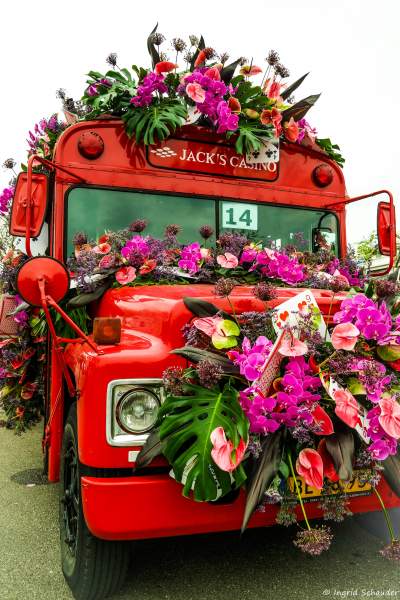 Blumenkorso in Holland - April 2017 Blumenkorso in Holland - April 2017