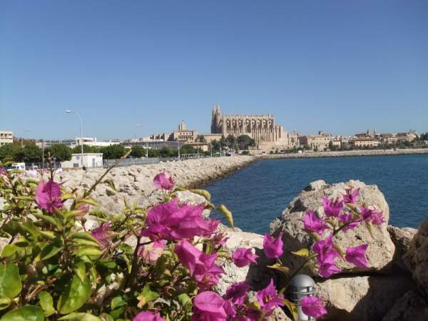 Spaziergang durch Palma de Mallorca