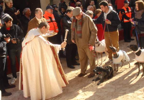 Beneides de Sant Antoni - Tiersegnung in Palma Januar 2014 Beneides de Sant Antoni - Tiersegnung in Palma Januar 2014