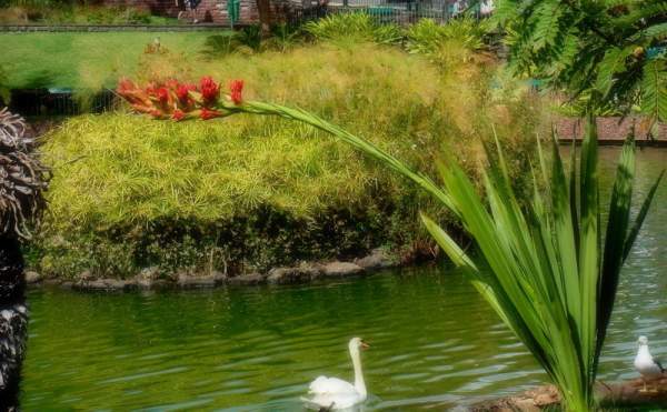 Santa Catarina Park in Funchal/Madeira