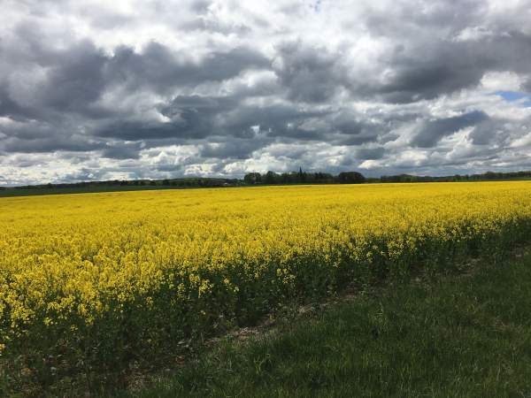Vilmnitz Meck-Pomm Vilmnitz Meck-Pomm