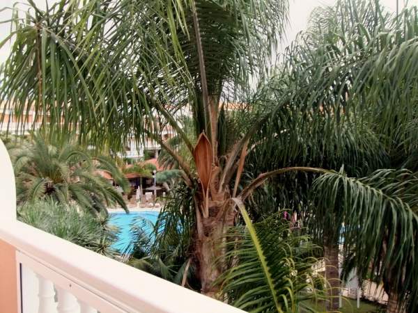 RIU Garoe Mai 2015 RIU Garoe Mai 2015