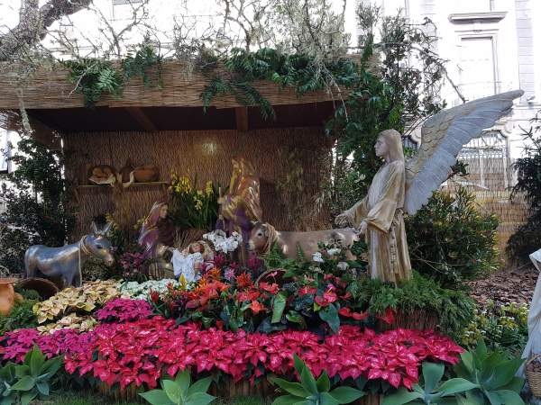 Weihnachtsdeko 2017 in Funchal / Insel Madeira Weihnachtsdeko 2017 in Funchal / Insel Madeira
