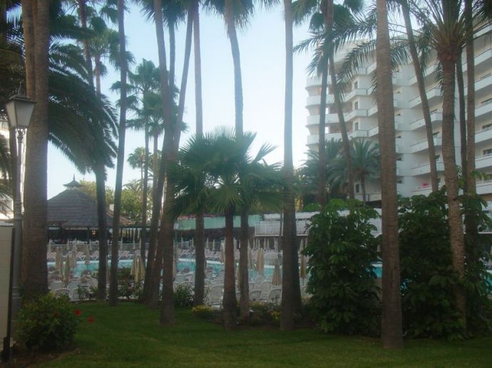 RIU Waikiki - Blick ber den Pool zur Poolbar