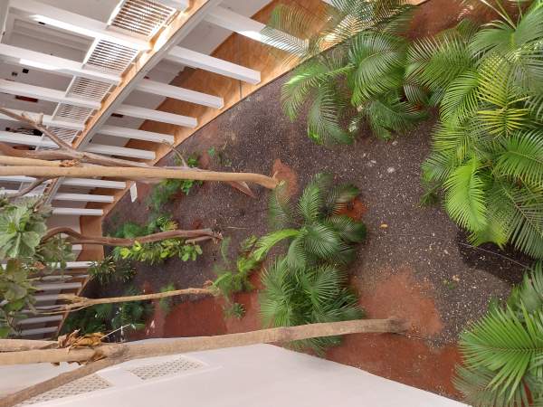 HOTEL RIU PALACE TENERIFE 08.2025