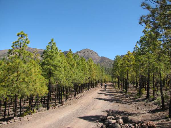 Mountainbike - Teneriffa Mountainbike - Teneriffa