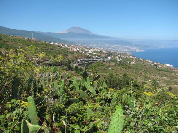 Teneriffa - Norden, Puerto de La Cruz Teneriffa - Norden, Puerto de La Cruz