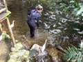 Einige Fische in der Voliere Katandra Treetops werden einzeln gefttert
