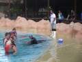 Schwimmen mit den Seelöwen, ein unvergessliches Erlebnis