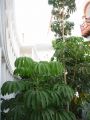 Vorheriges Bild