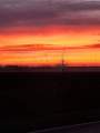 Morgenrot 01.01.25, Gutes neues Jahr, Raum Vorderpfalz. Aufgenommen zwischen Neustadt / Weinstrae und Bad Drkheim, so um 07:55 Uhr.