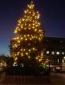 Der Weihnachtsbaum vor dem Theater.