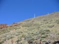 Seilbahn von der Basisstation zur Bergstation El Teide, bis ca. 150 m unter den Gipfel