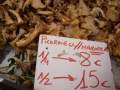 Pfifferlinge aus Mallorca, September und November ist Pilzsaison. Mallorquiner sind begeisterte Pilzsammler.