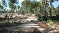 Bauarbeiten am neuen RIU Palace Bavaro