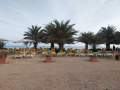 Strand von Santa Maria mit Sonnenschirmen und Liegesthlen ausgestattet.