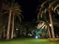 Palmengarten, Nachtstimmung