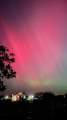 Vorheriges Bild