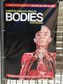 Ausstellung Bodies