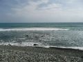 Das Einzige, was man in Meloneras bisher vermisst, ist ein Strand. Es soll aber bald Abhilfe geschaffen werden. Die nrdliche Kiesbucht soll mit Sand aufgeschttet werden und die Promenad bis zu Yachthafen Pasito Blanco verlngert werden.