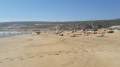 Strand beim neuen RIU Hotel.