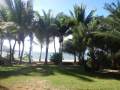 Garten und Meerblick im RIU Coral.