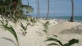 Strandabschnitt am neuen RIU Palace Bavaro