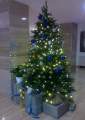 Ein kleiner Weihnachtsbaum in der Lobby.
