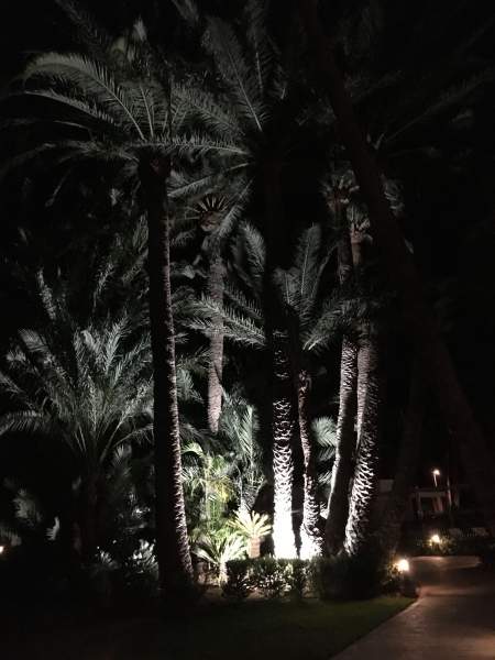 Riu Palace Oasis 12/2019 Riu Palace Oasis 12/2019
