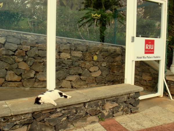 Riu Palace Madeira Nov. / Dez. 2018 Riu Palace Madeira Nov. / Dez. 2018