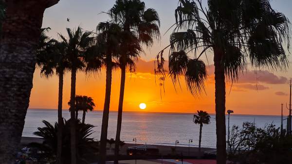 RIU Paraiso Lanzarote - März 2022 RIU Paraiso Lanzarote - März 2022