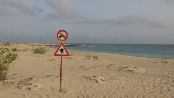 RIU Touareg - September 2019 RIU Touareg - September 2019