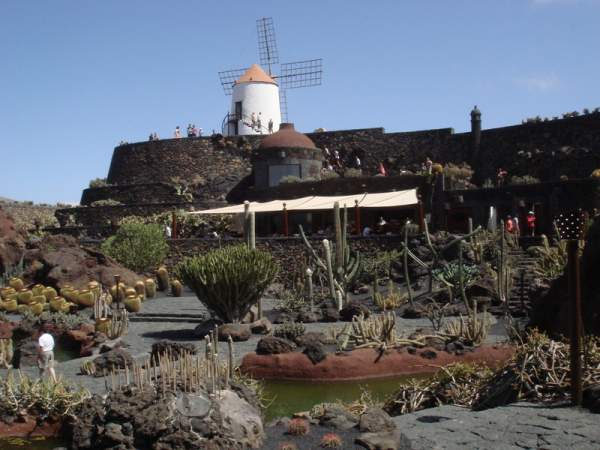Jardin de Cactus bei Guatiza / Lanzarote Jardin de Cactus bei Guatiza / Lanzarote