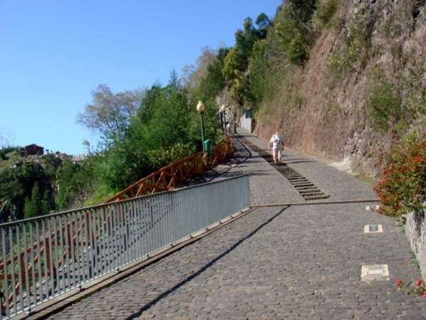 Botanischer Garten Funchal / Madeira