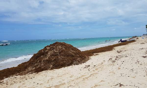 Punta Cana Strand Mai 2018