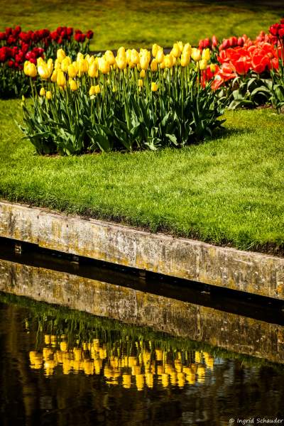 Keukenhof - ehemaliges Jagdschlo bei Lisse / Holland