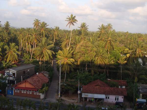 RIU Sri Lanka - September 2016