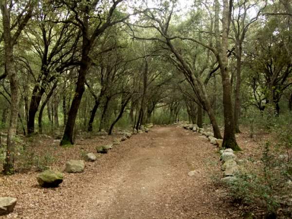 Ausflug zur Finca Gabelli petit bei Campanet, Mallorca