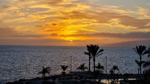 RIU Buena Vista - November 2021