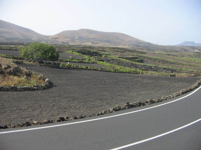 Vulkangebiet auf Lanzarote Vulkangebiet auf Lanzarote