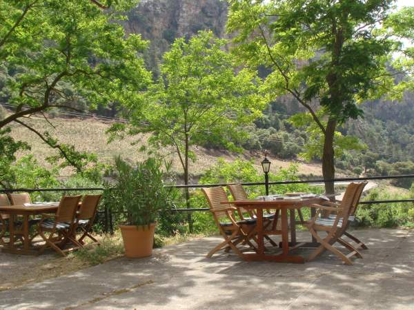 Restaurant Dalt des Coll / Mallorca Restaurant Dalt des Coll / Mallorca