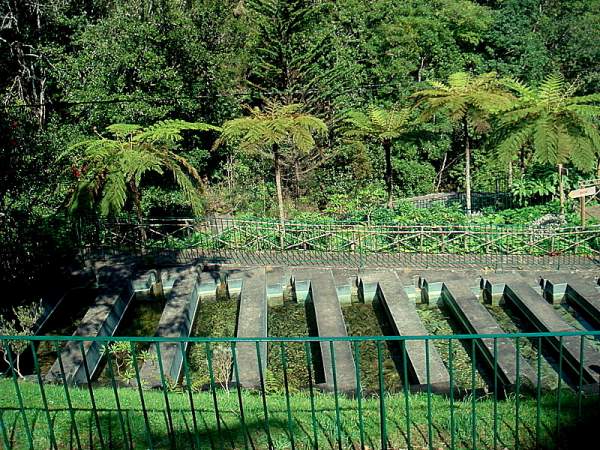 Ausflug zum Pico Arieiro Madeira / Februar 2020