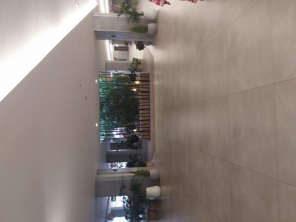 Hotel RIU Buenavista - 08 / 2025