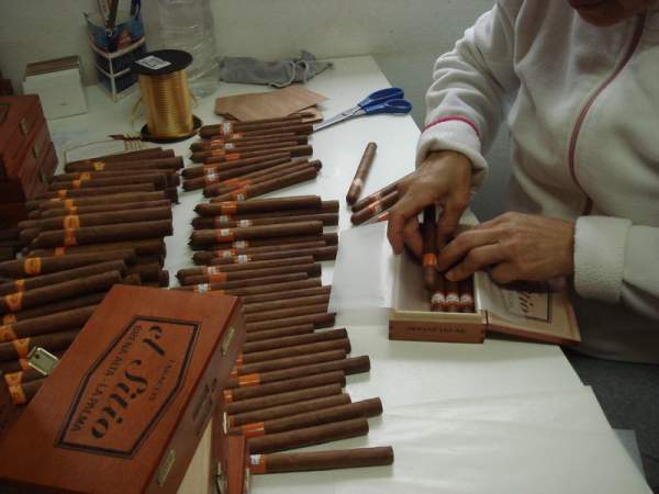 Führung durch die Tabakmanufakturen auf La Palma Führung durch die Tabakmanufakturen auf La Palma